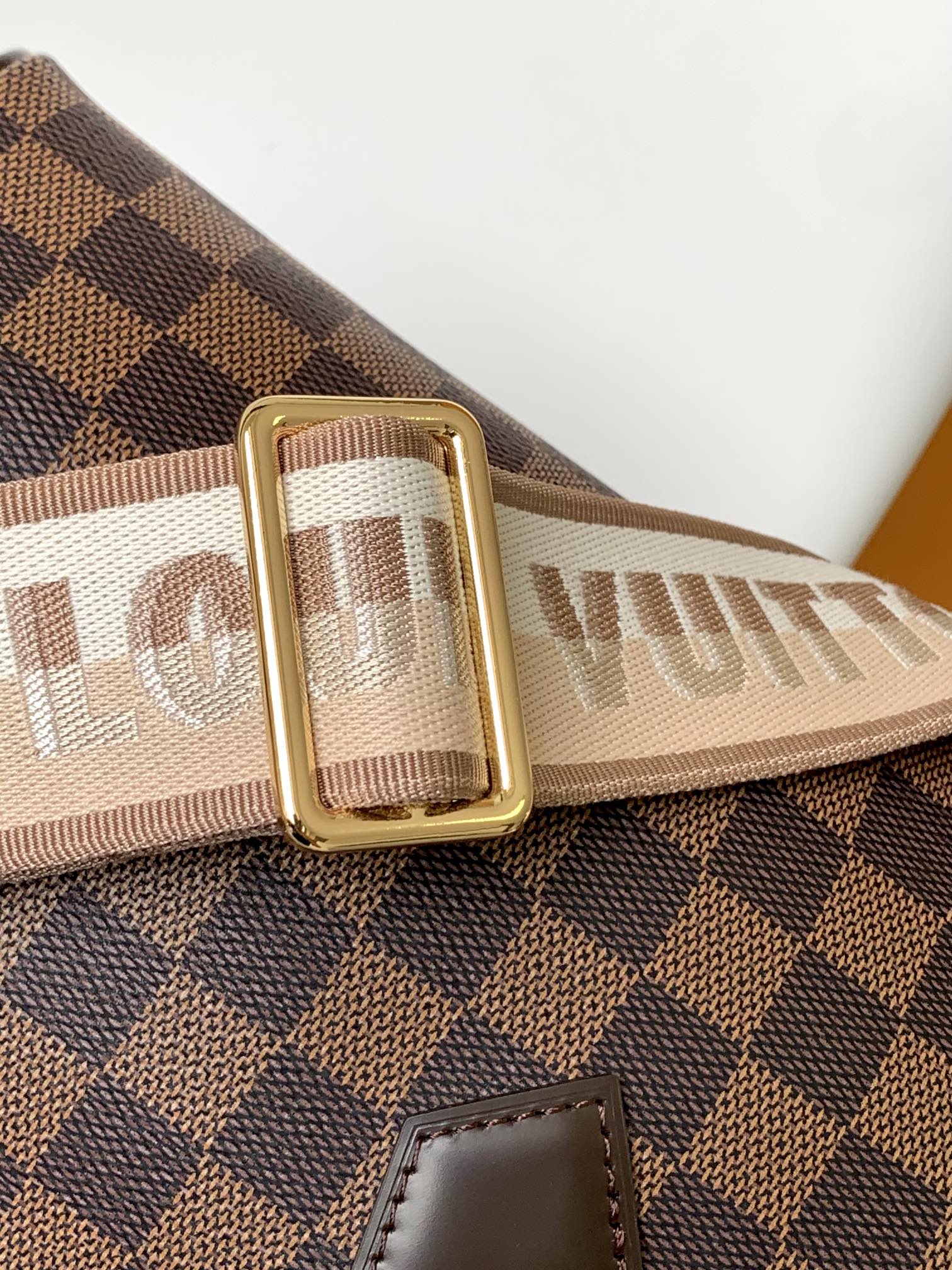 LV Speedy Bandoulière 20cm Brown Damier Ebene Canvas GHW