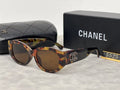 Fashion Sunglasses—5525s-sss
