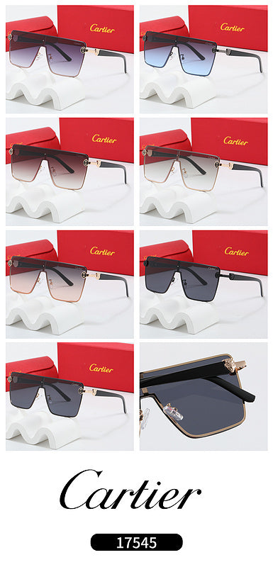 Fashion Sunglasses—110345s-sss