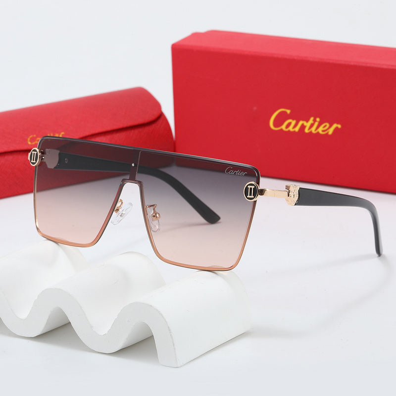 Fashion Sunglasses—110345s-sss