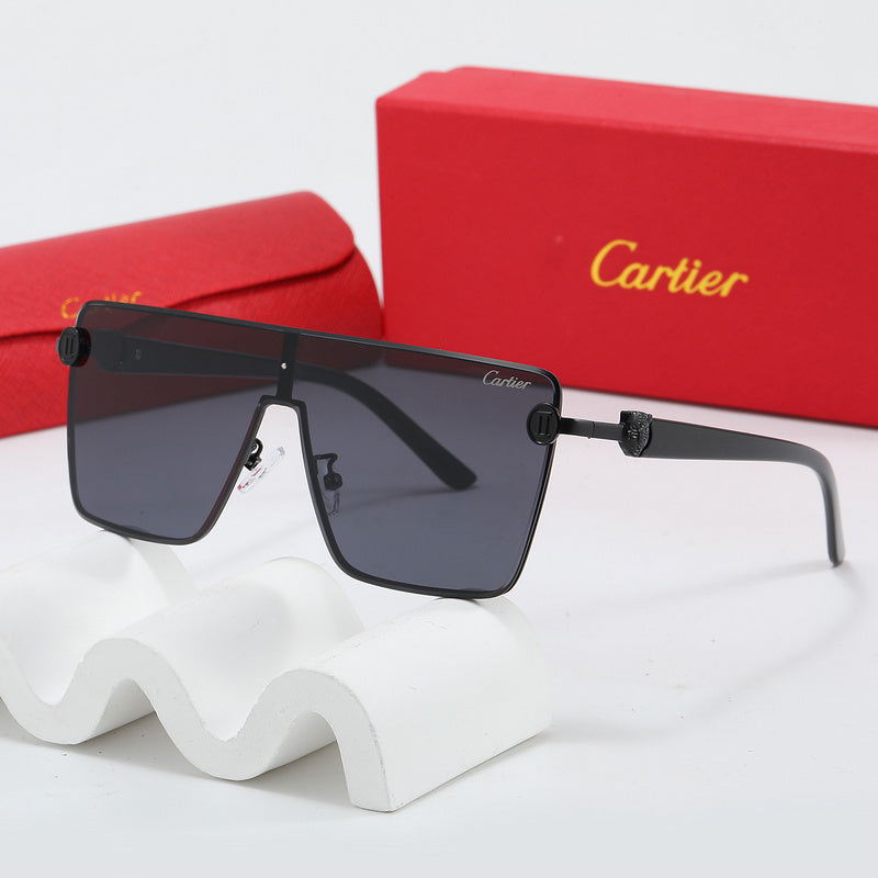 Fashion Sunglasses—110345s-sss