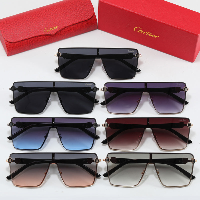 Fashion Sunglasses—110345s-sss
