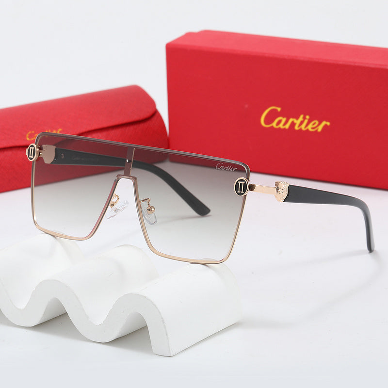 Fashion Sunglasses—110345s-sss