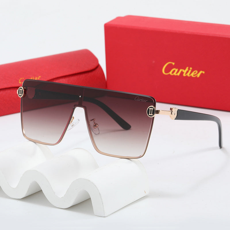 Fashion Sunglasses—110345s-sss