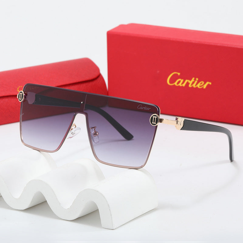 Fashion Sunglasses—110345s-sss