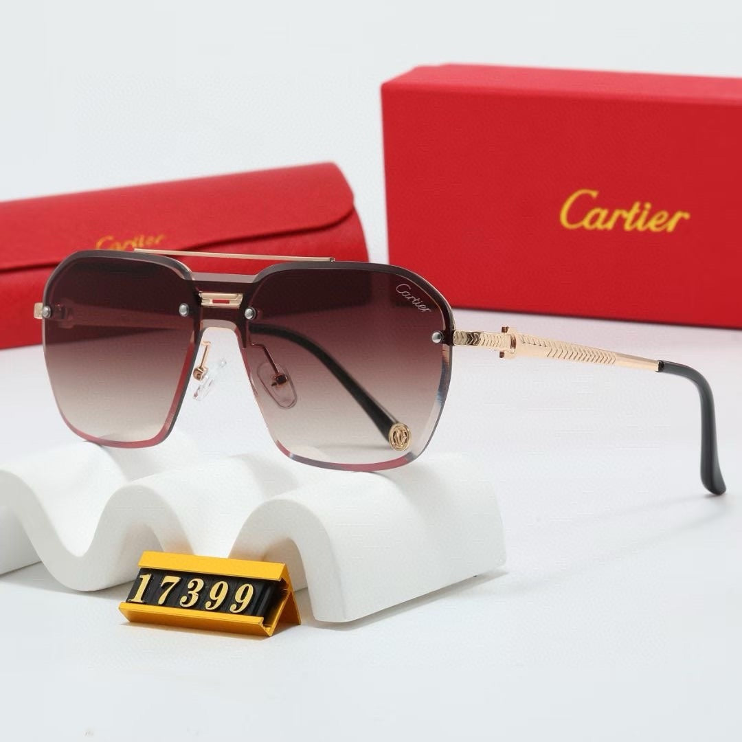 Fashion hot 5 color sunglasses 17399s-sss