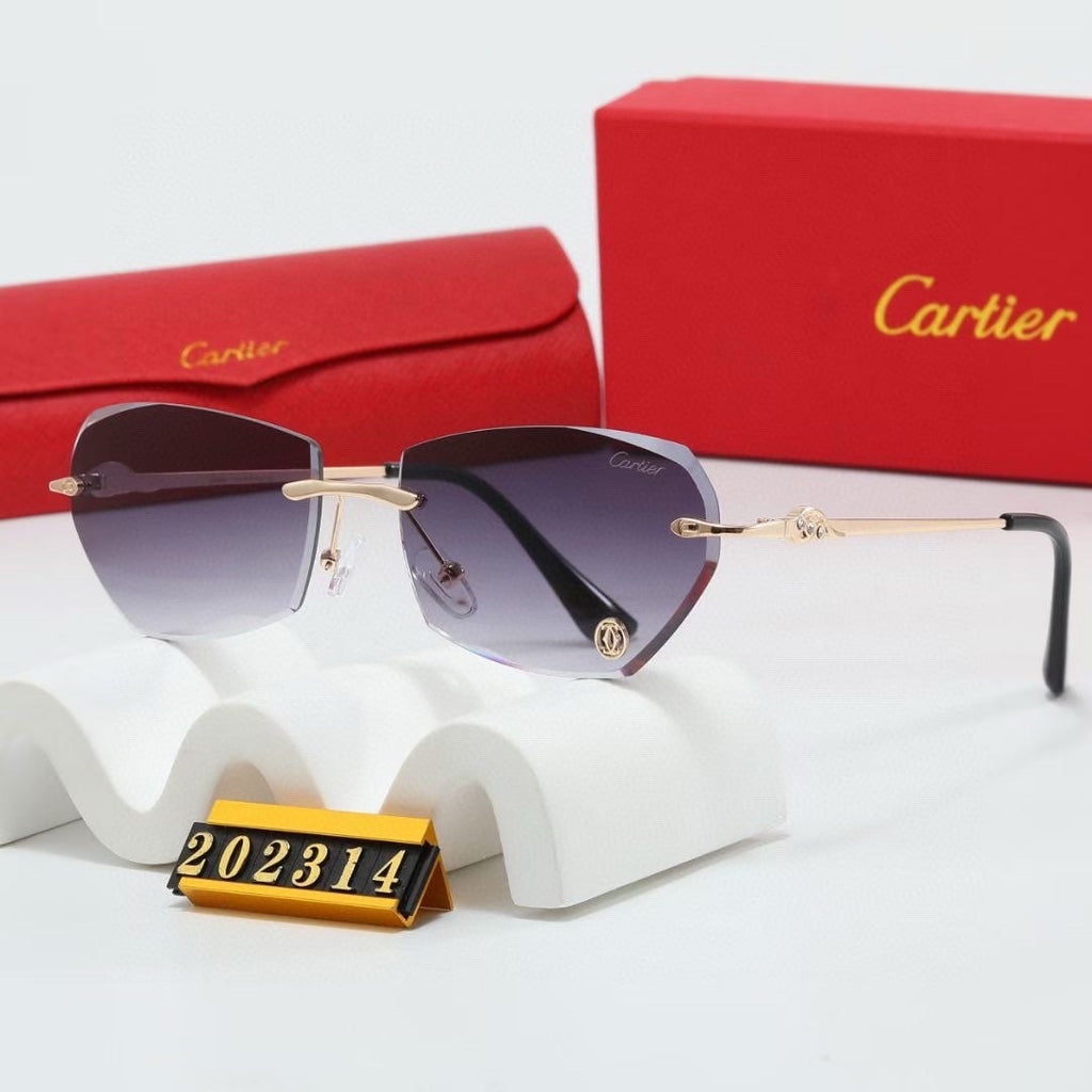 Fashion hot 6 color sunglasses 202314s-sss