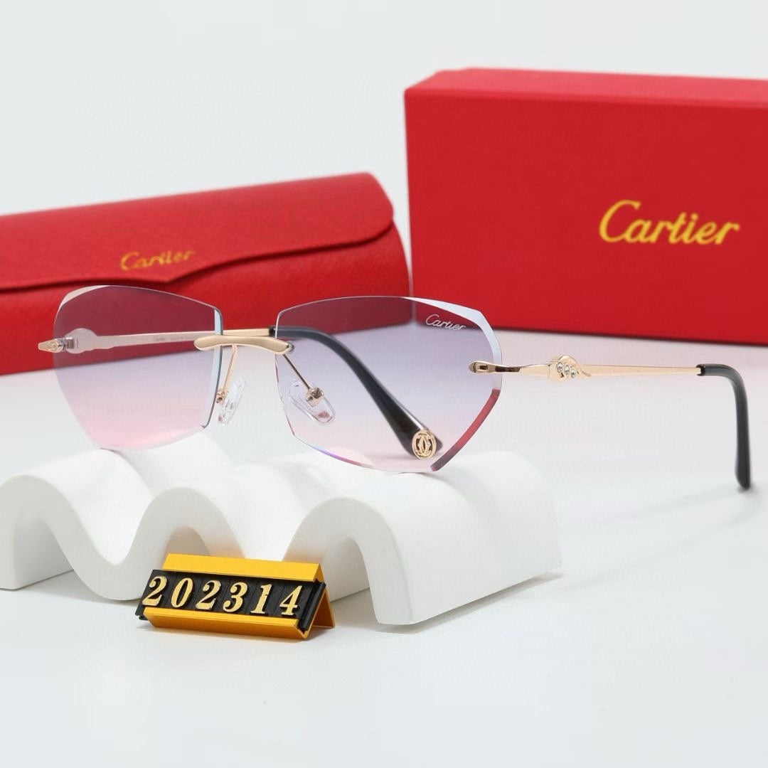 Fashion hot 6 color sunglasses 202314s-sss