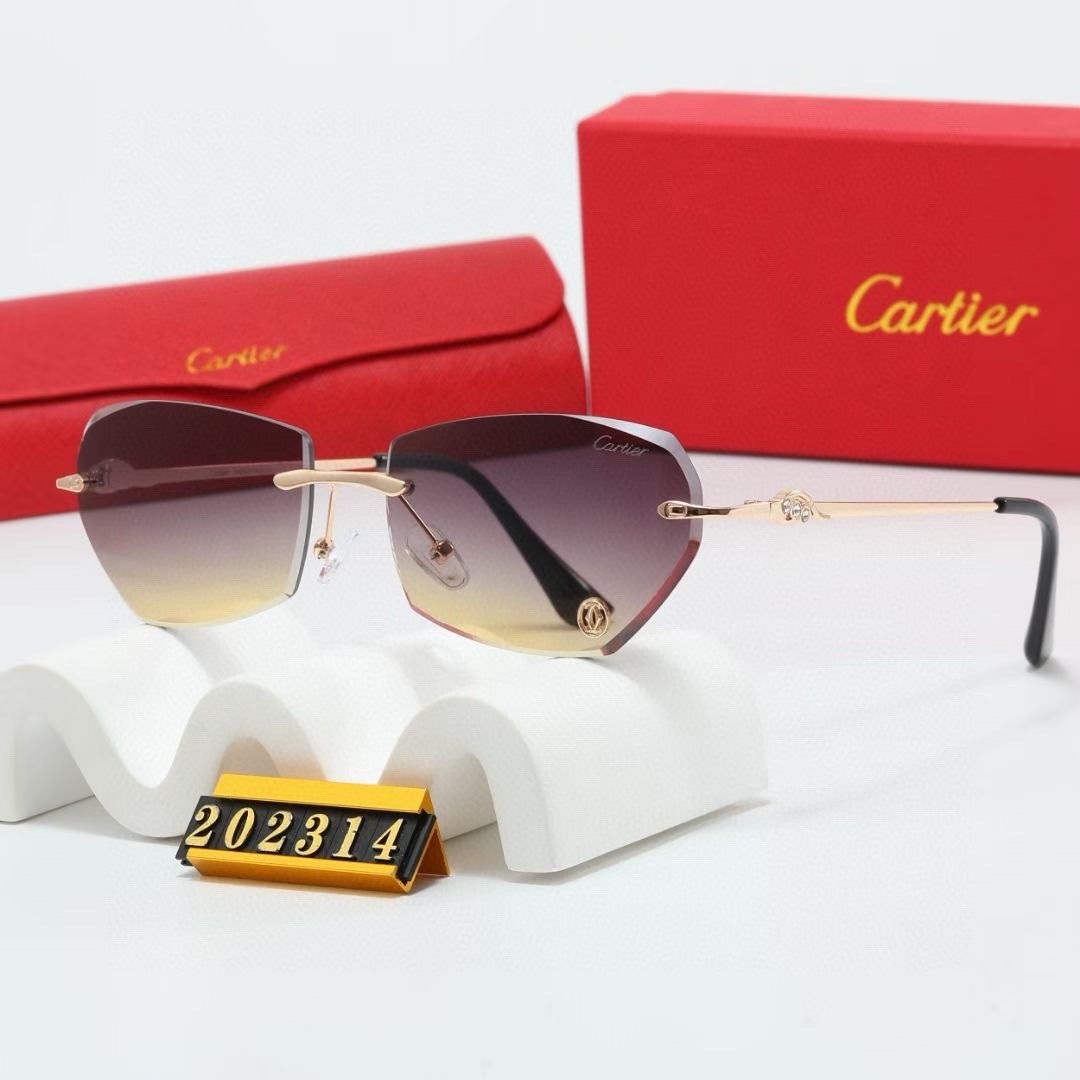 Fashion hot 6 color sunglasses 202314s-sss