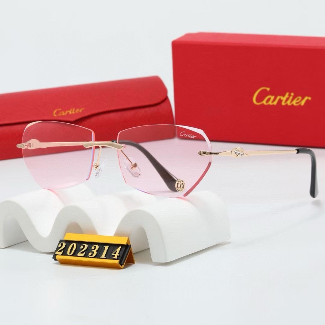 Fashion hot 6 color sunglasses 202314s-sss