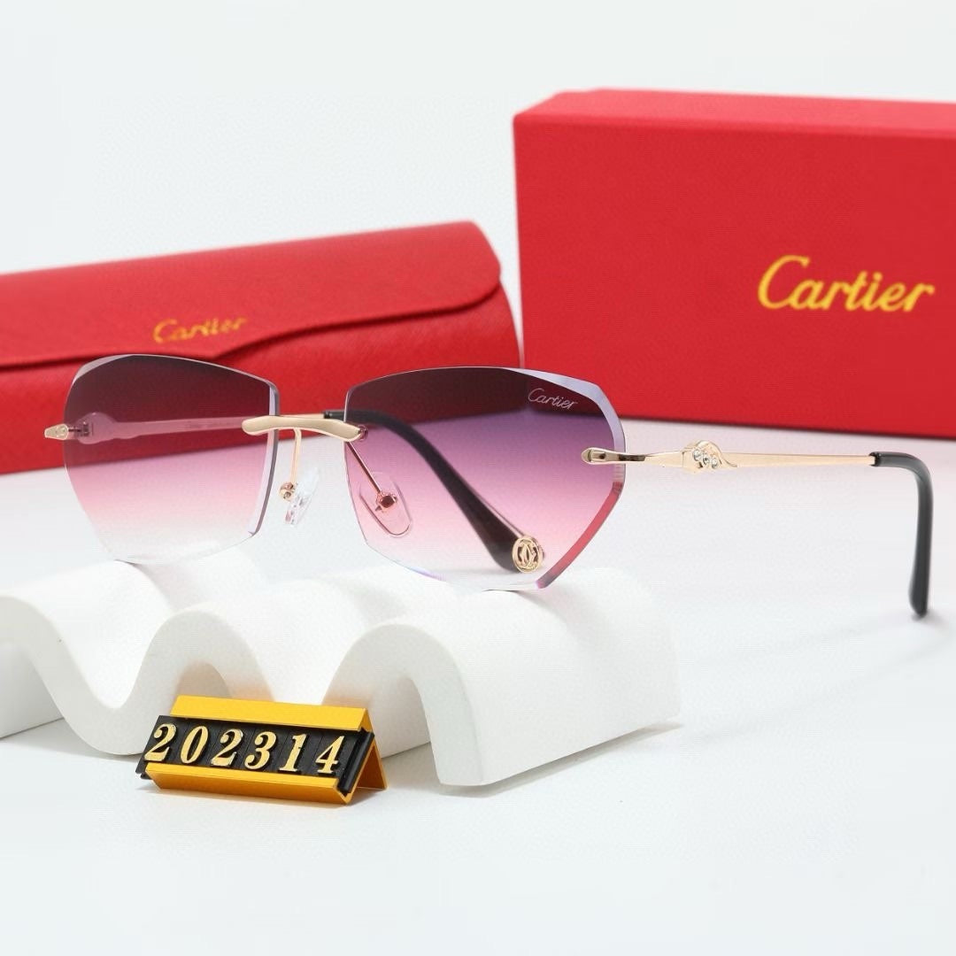 Fashion hot 6 color sunglasses 202314s-sss