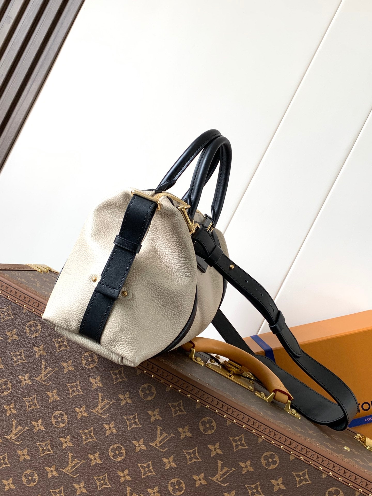LV Nano LV Biker 38cm Black Beige  Sheepskin & Cowhide Metal