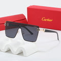 Fashion Sunglasses—110345s-sss